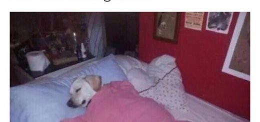 tumblr_oah6nqfRE31tdlywfo1_500