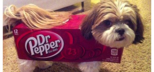 tumblr_ohj3gaq9ga1qewacoo1_500