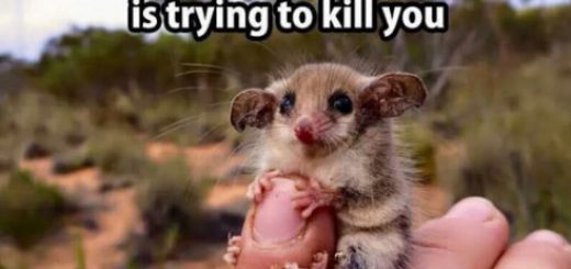 tumblr_oi4vlrqLZy1vjw26lo1_500