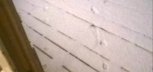 tumblr_oihc8jdi5m1r2alapo1_500