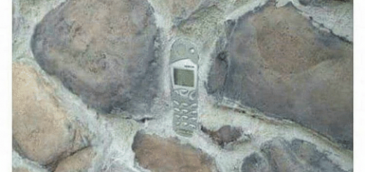 tumblr_oizz14Kab21tp42tfo1_500