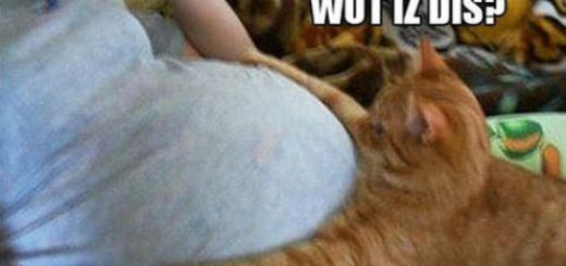 tumblr_oj56p3H12Y1rir0h2o1_500