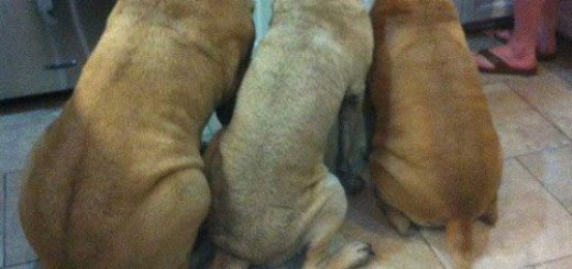 tumblr_oj73ymcSlc1rir0h2o1_500