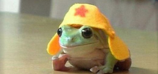 tumblr_ojan24xMls1rir0h2o1_500