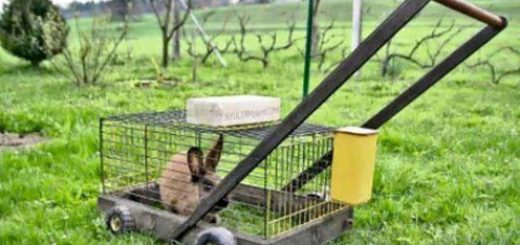 tumblr_ojykdaus1X1rir0h2o1_500