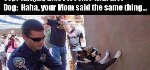 tumblr_ok14d01MD91s7fwo7o1_500