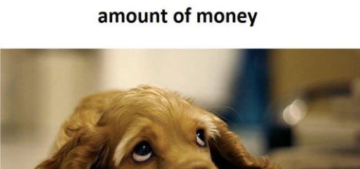 tumblr_ok3bkeaBYE1tp42tfo1_500