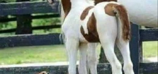 tumblr_olixwe11AX1tp42tfo1_500