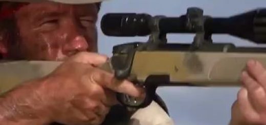 16971219_1165458036911076_7366644759827316736_n thumbnail