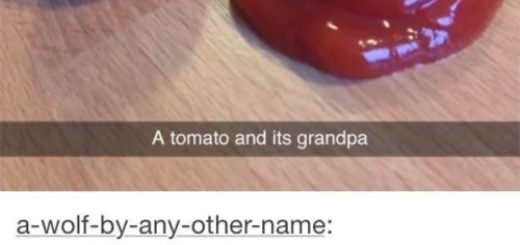 tumblr_nz5j80envn1u3u3h0o2_r1_500