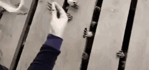 tumblr_offk9jgFM61s02vreo1_400