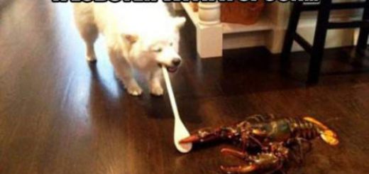 tumblr_omd2jsBjZi1rir0h2o1_500