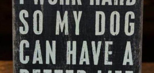 tumblr_ommhffUuIP1rir0h2o1_500