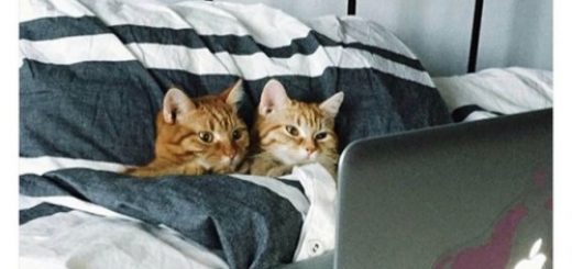 tumblr_omnplitGMn1uex49zo1_500