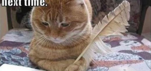 tumblr_on12szxfnp1rir0h2o1_500