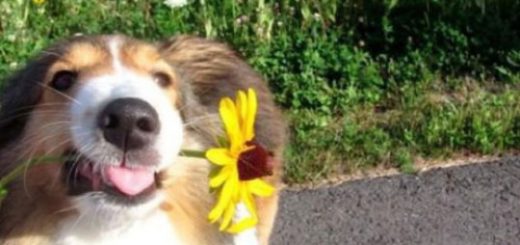 tumblr_on2qiqlB8F1rir0h2o1_500