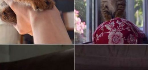 tumblr_on4eh5H0r31rir0h2o1_500