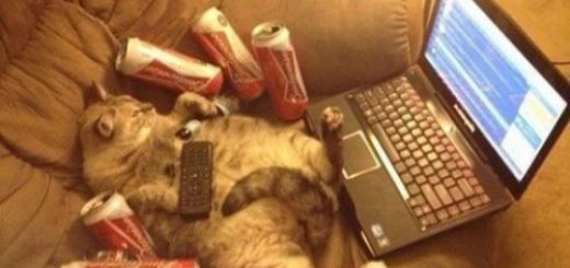 tumblr_on6i57nBpT1rir0h2o1_500