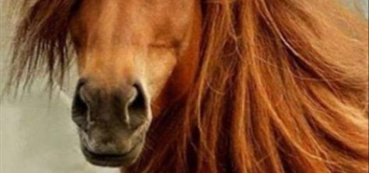 tumblr_on7446B39F1rir0h2o1_500