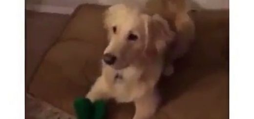 I_750921_6239172 thumbnail