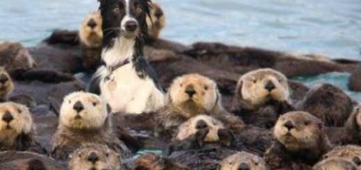 tumblr_ooa9inznG31rir0h2o1_500