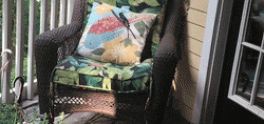 ConsciousInsignificantAntarcticfurseal-size_restricted