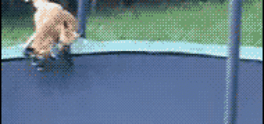 Wait+a+sec+desc_425810_4045988