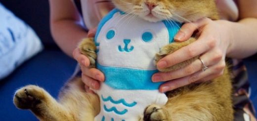 tumblr_olhhcwxvqE1qzhjh2o1_500