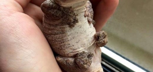 tumblr_orcydzWeet1rir0h2o1_500