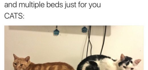 Stuff+41_fb42a4_6317295