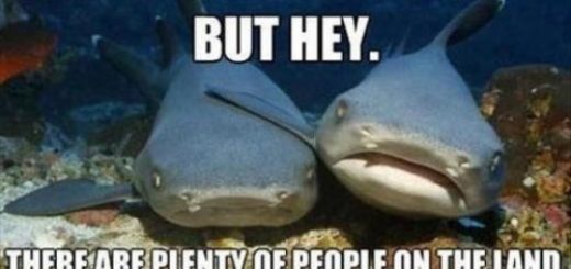 tumblr_osdkztpkIg1rir0h2o1_500