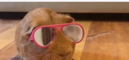 20231913_787145418157642_6492014471458848768_n thumbnail