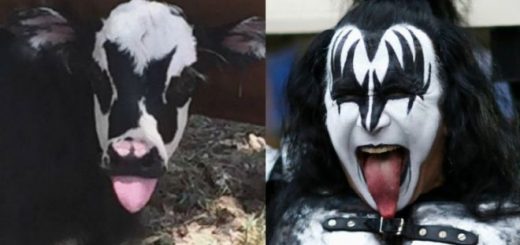 _97158895_56c8659d-e0d1-4b59-8656-b570d424497e