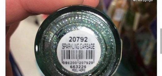 Mudkip_e05e56_6300197