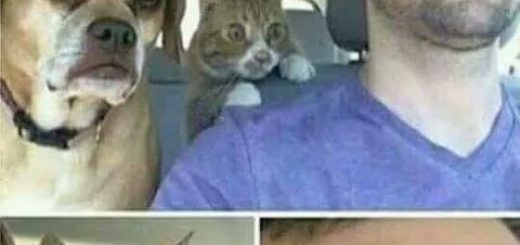 Stolen_02050b_6330363