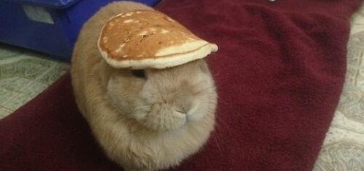 tumblr_mq6wqbFn0U1su5or6o1_500