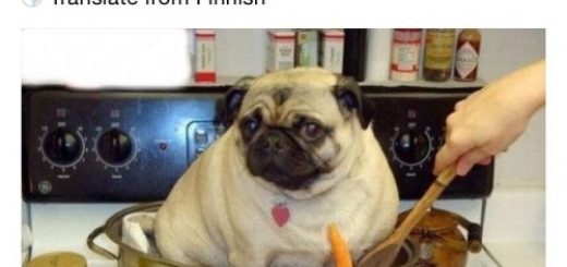 tumblr_ntte74Fj9d1tv459eo1_500