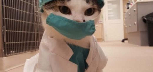 tumblr_o1nyzo8dj51tjdvfuo1_500