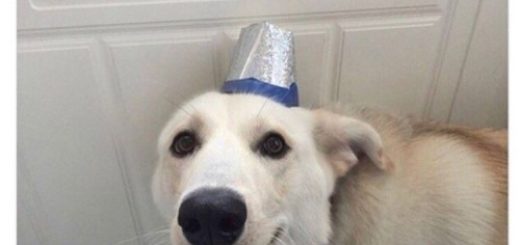 tumblr_olfcukdb241vmqmo0o1_500