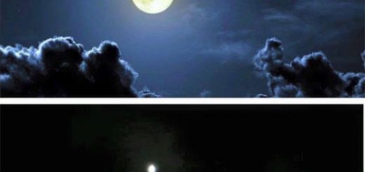 tumblr_oul23yvFTM1rir0h2o1_500