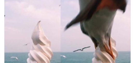 tumblr_ocw0o1p56Z1vs2w6ho1_500