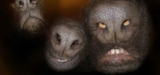 tumblr_ow6y2yyWp91rir0h2o1_500