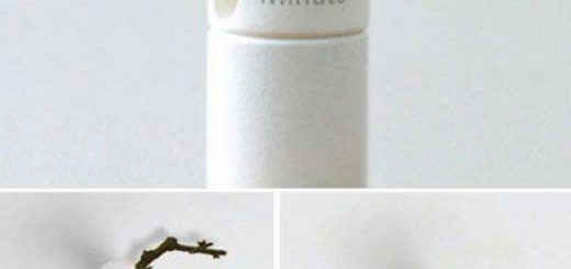 tumblr_owcf8aGzIi1rir0h2o1_500