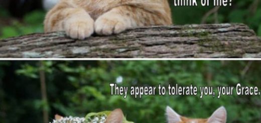 tumblr_oweuq3fCYX1rir0h2o1_500