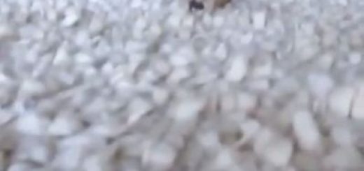 Fucking+cute_0ef837_6404942 thumbnail