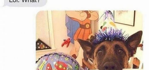 Its+not+weird+to+kiss+your+sister_54719a_6404610