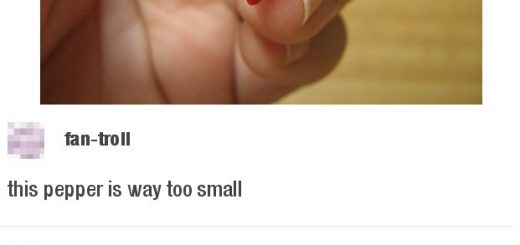 Meme+hamburgers+with+french+fries_5f5b74_6404505