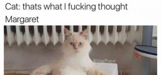 Memes_2b03ff_6404882