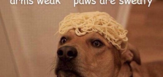 Quixotic_0b4b9d_6405002