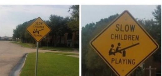 Quixotic_2ed6fd_6405002